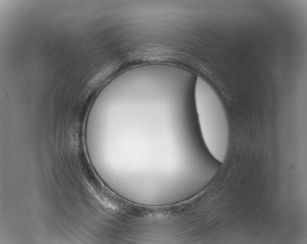X0000051250586200506170844