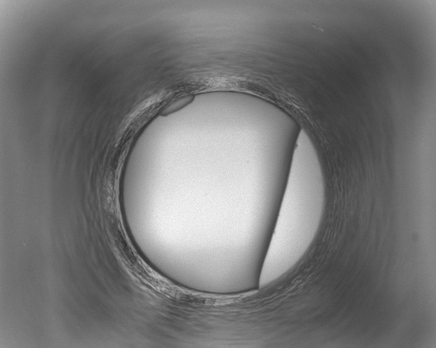 X0000051250587200506170844