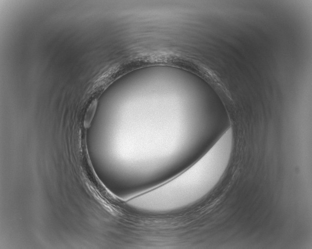 X0000051250589200506170844