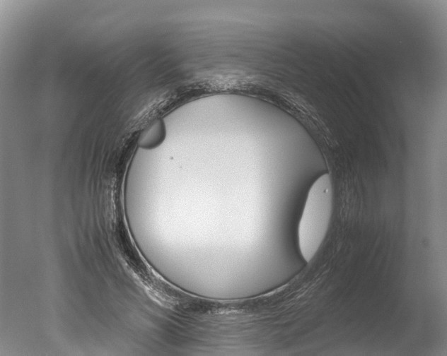 X0000051250590200506170844
