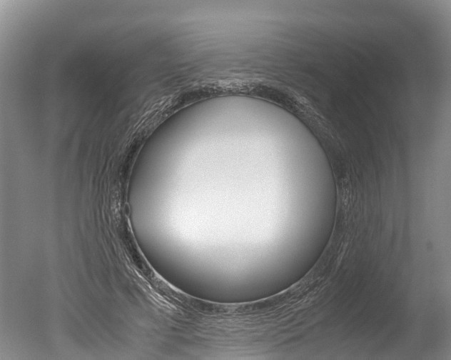 X0000051250593200506170844