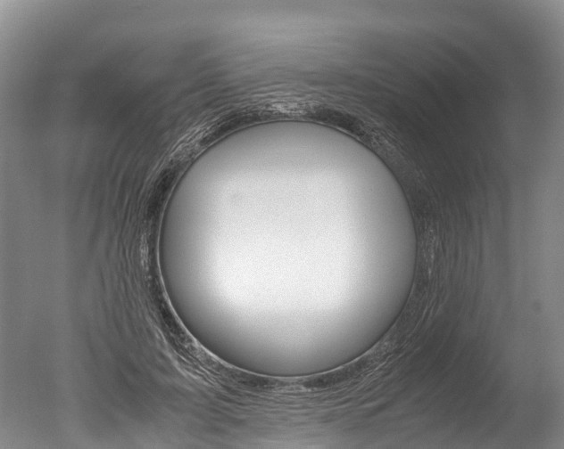 X0000051250595200506170844