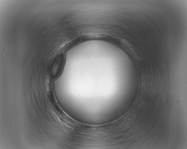 X0000051250596200506170844