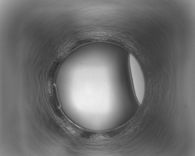 X0000051250597200506170844