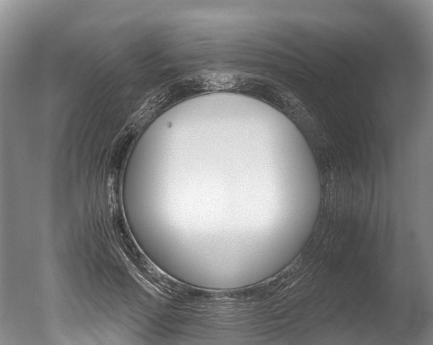 X0000051250598200506170844