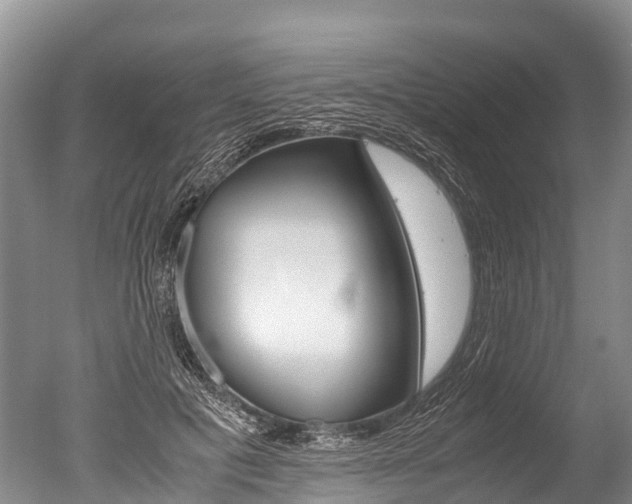 X0000051250601200506170844