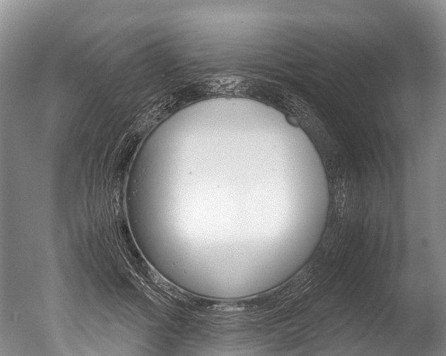 X0000051250602200506170844