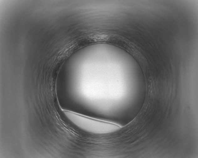 X0000051250604200506170844