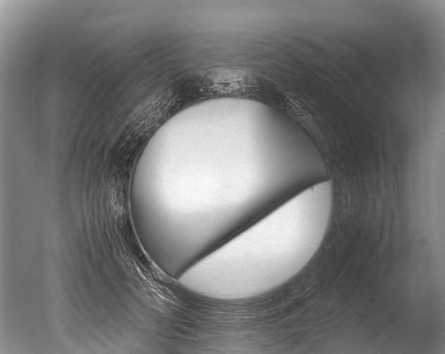X0000051250606200506170844