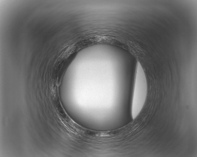 X0000051250607200506170844