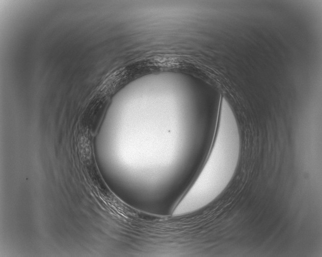 X0000051250609200506170844