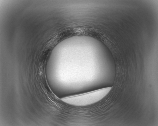 X0000051250611200506170843