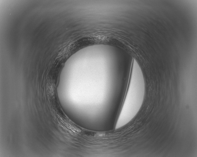 X0000051250613200506170843