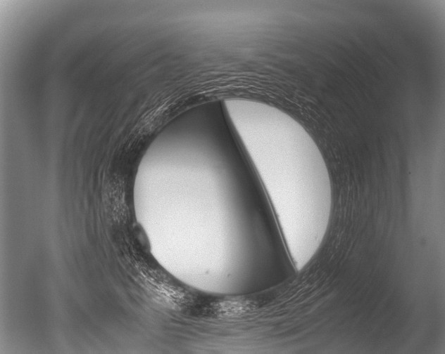X0000051250615200506170843