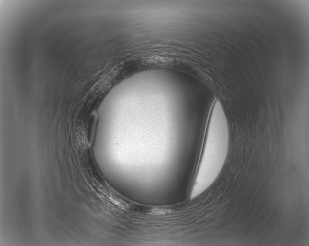 X0000051250617200506170843