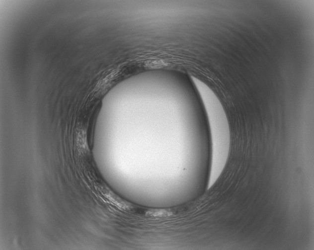 X0000051250621200506170843
