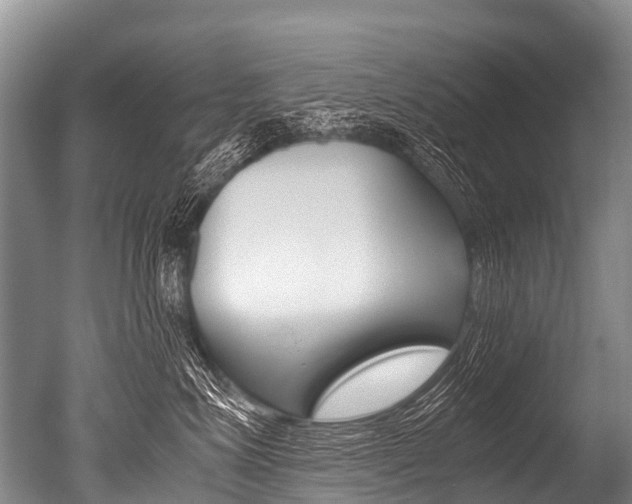 X0000051250623200506170843
