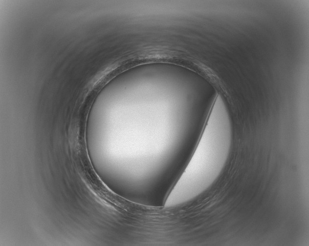 X0000051250627200506170842