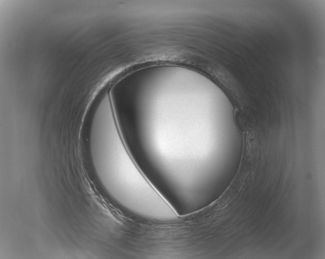 X0000051250628200506170842