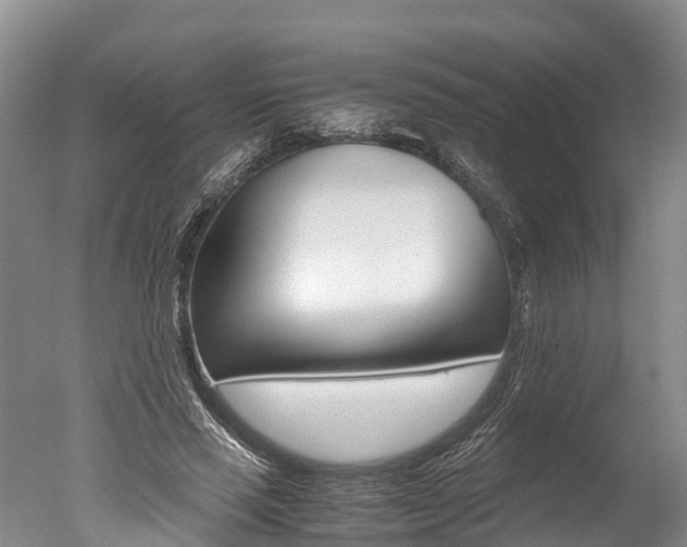 X0000051250637200506170843