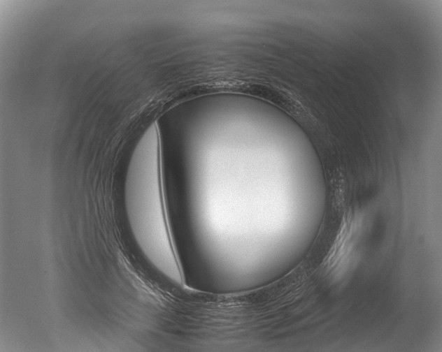 X0000051250643200506170843