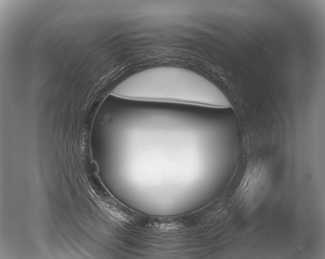 X0000051250645200506170843