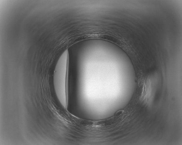 X0000051250647200506170843