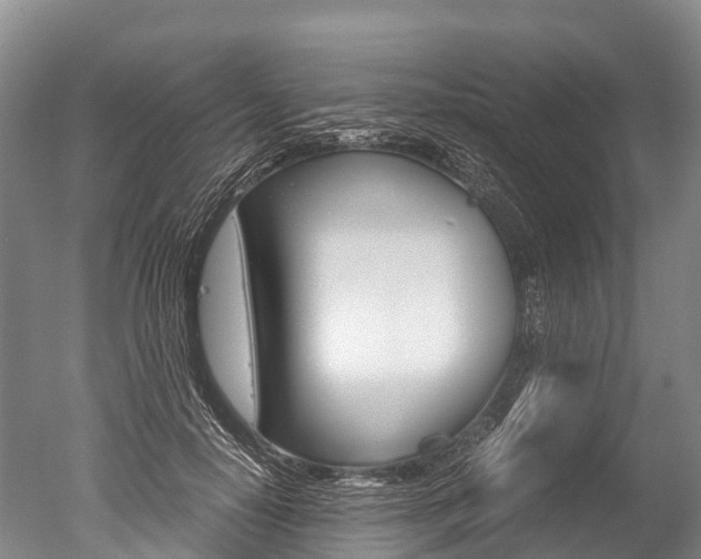 X0000051250650200506170843