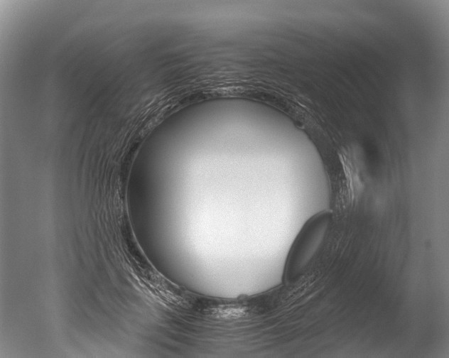 X0000051250651200506170843