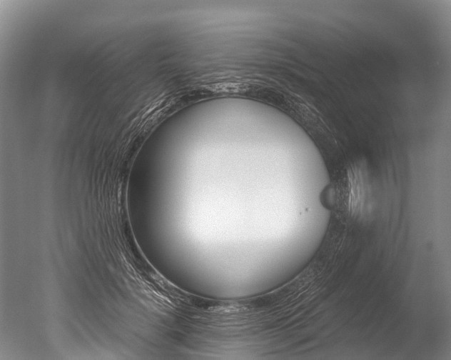 X0000051250652200506170843