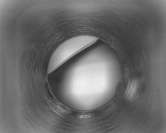 X0000051250653200506170843