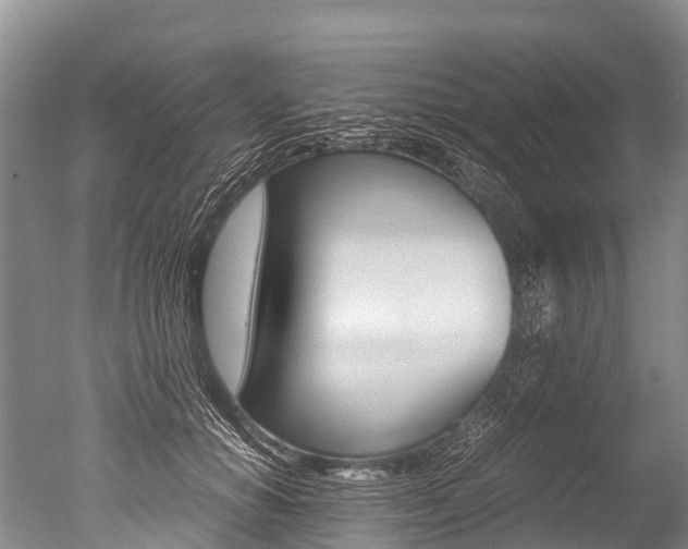 X0000051250654200506170843