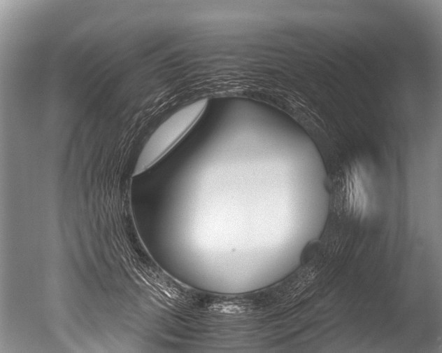 X0000051250655200506170843