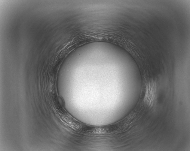 X0000051250656200506170843