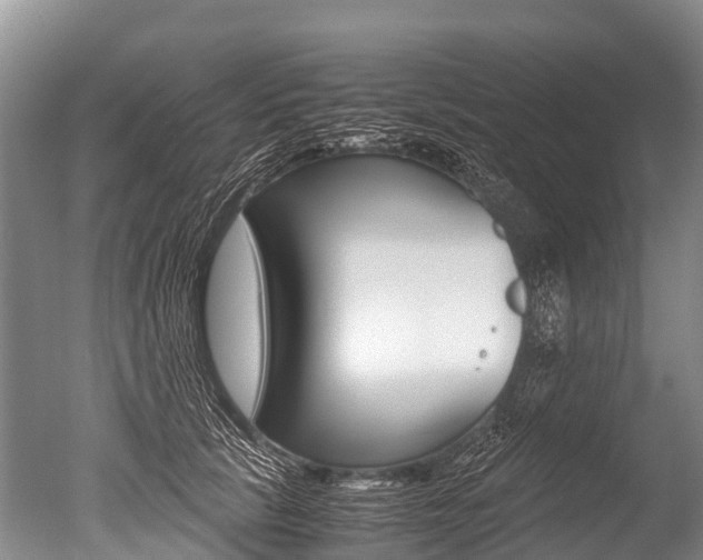 X0000051250657200506170843