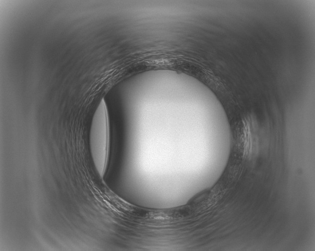 X0000051250658200506170843