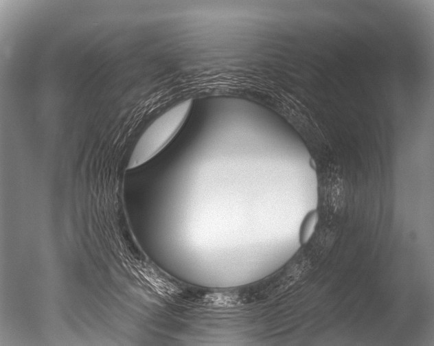 X0000051250660200506170843