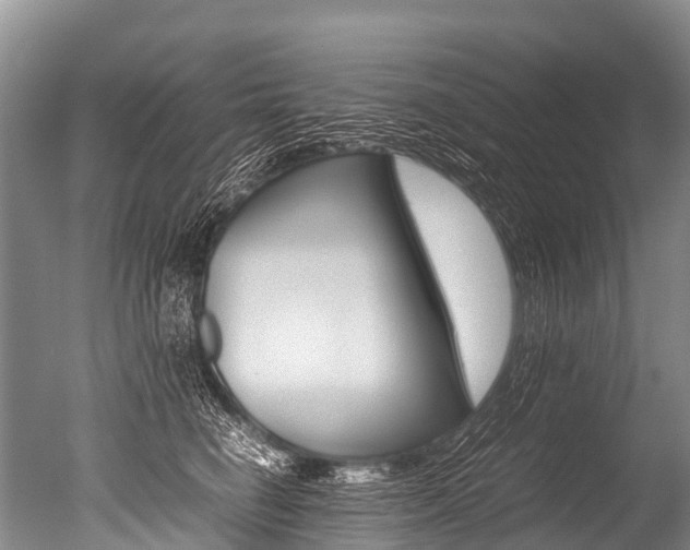 X0000051250662200506170843