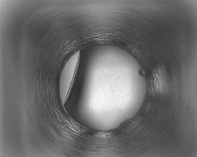X0000051250664200506170843