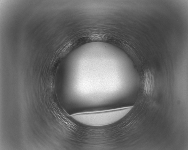 X0000051250665200506170843