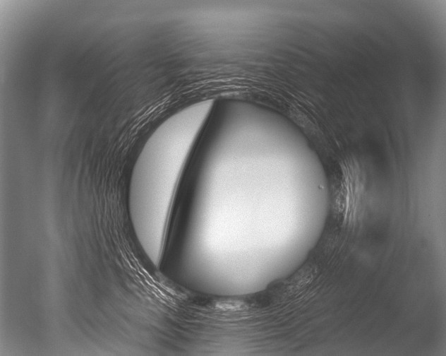 X0000051250666200506170843