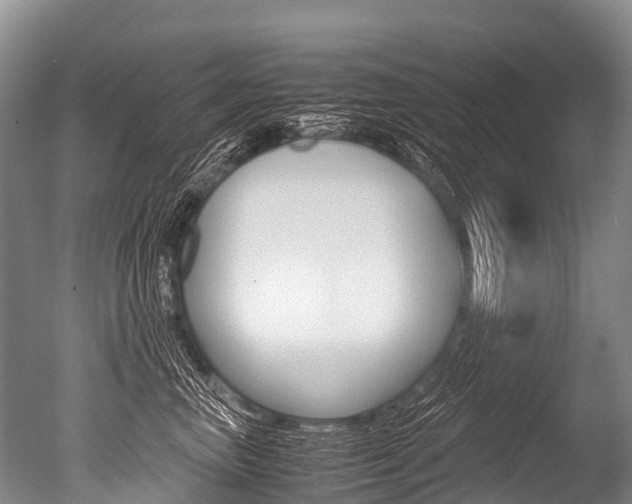 X0000051250667200506170843