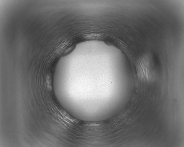 X0000051250669200506170843