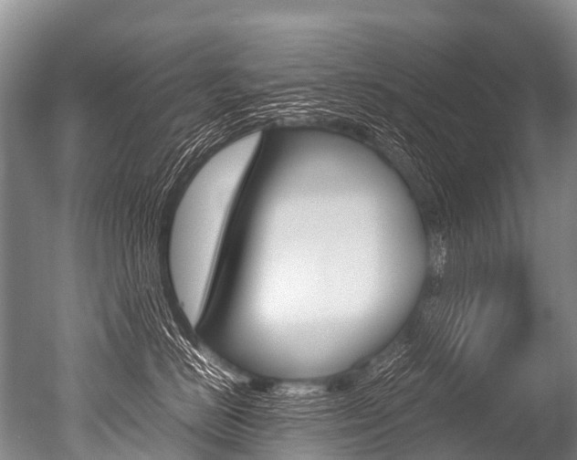 X0000051250670200506170843