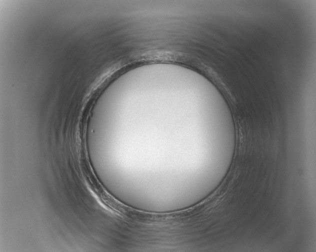 X0000051250674200506170842