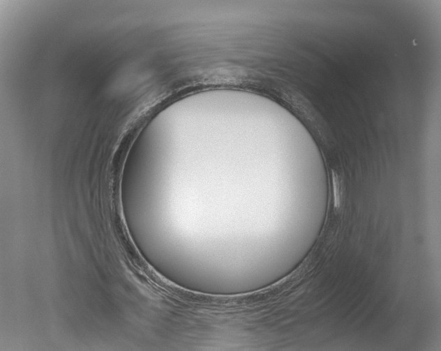 X0000051250675200506170842