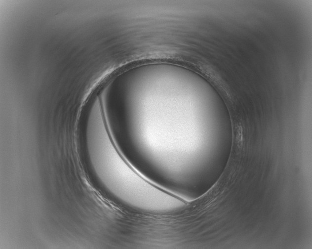 X0000051250676200506170842