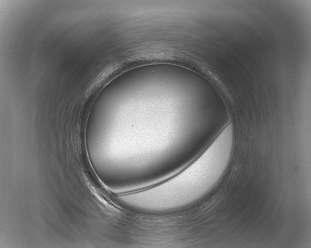 X0000051250677200506170842