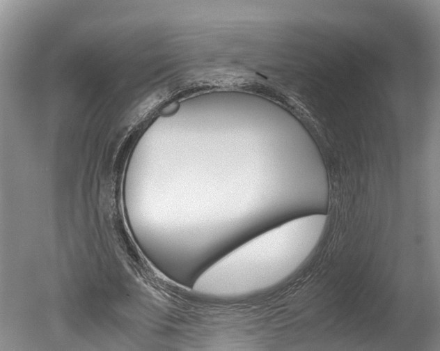 X0000051250679200506170842