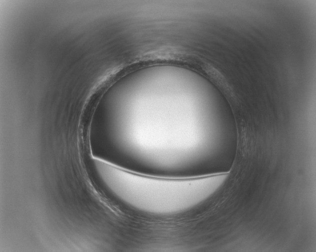 X0000051250680200506170842